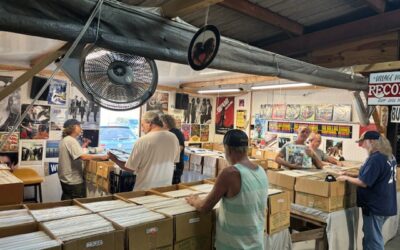 New Vinyl Record Arrivals 12/28-29