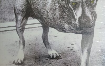 RIP OZZY! New arrivals this week…